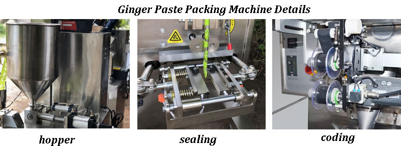 Ginger Garlic Paste Packing Machine Structure