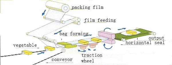 Vegetable Packing Process