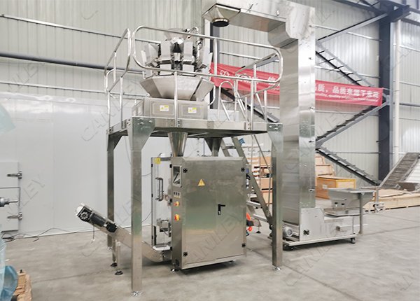 multihead weigher packing machine factory